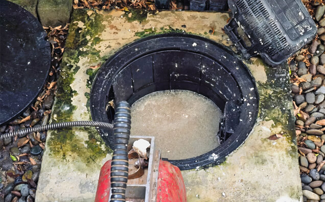 https://canningtonplumber.com.au/uploads/2025/06/blocked-drains-820453.jpg